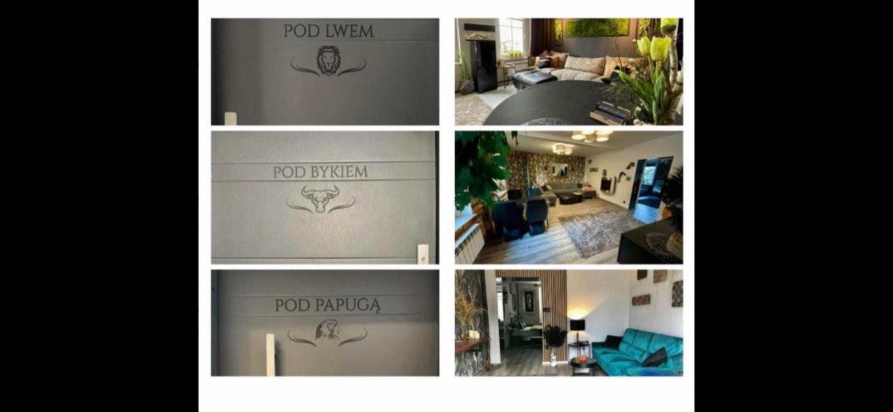 Ferienwohnung Pod Lwem Kościerzyna Exterior foto